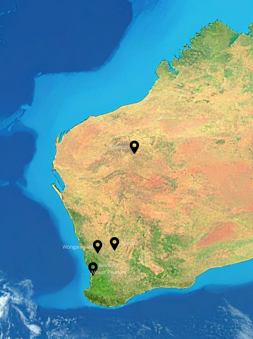 Contact Tweak Health Physio for Hands-On Physiotherapy – map of Western Australia showing clinic locations in Mount Pleasant, Belmont, Wongan Hills, Koorda and Newman